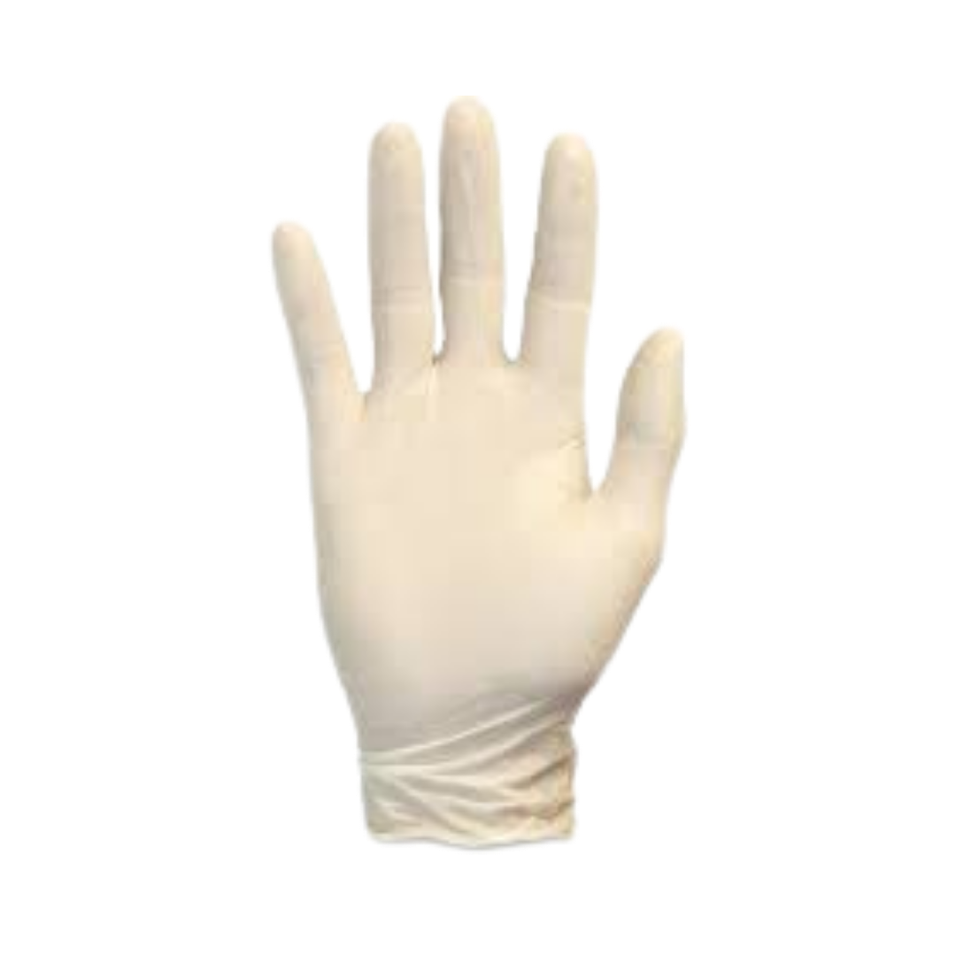 GLOVES LATEX NATURAL POWDERED